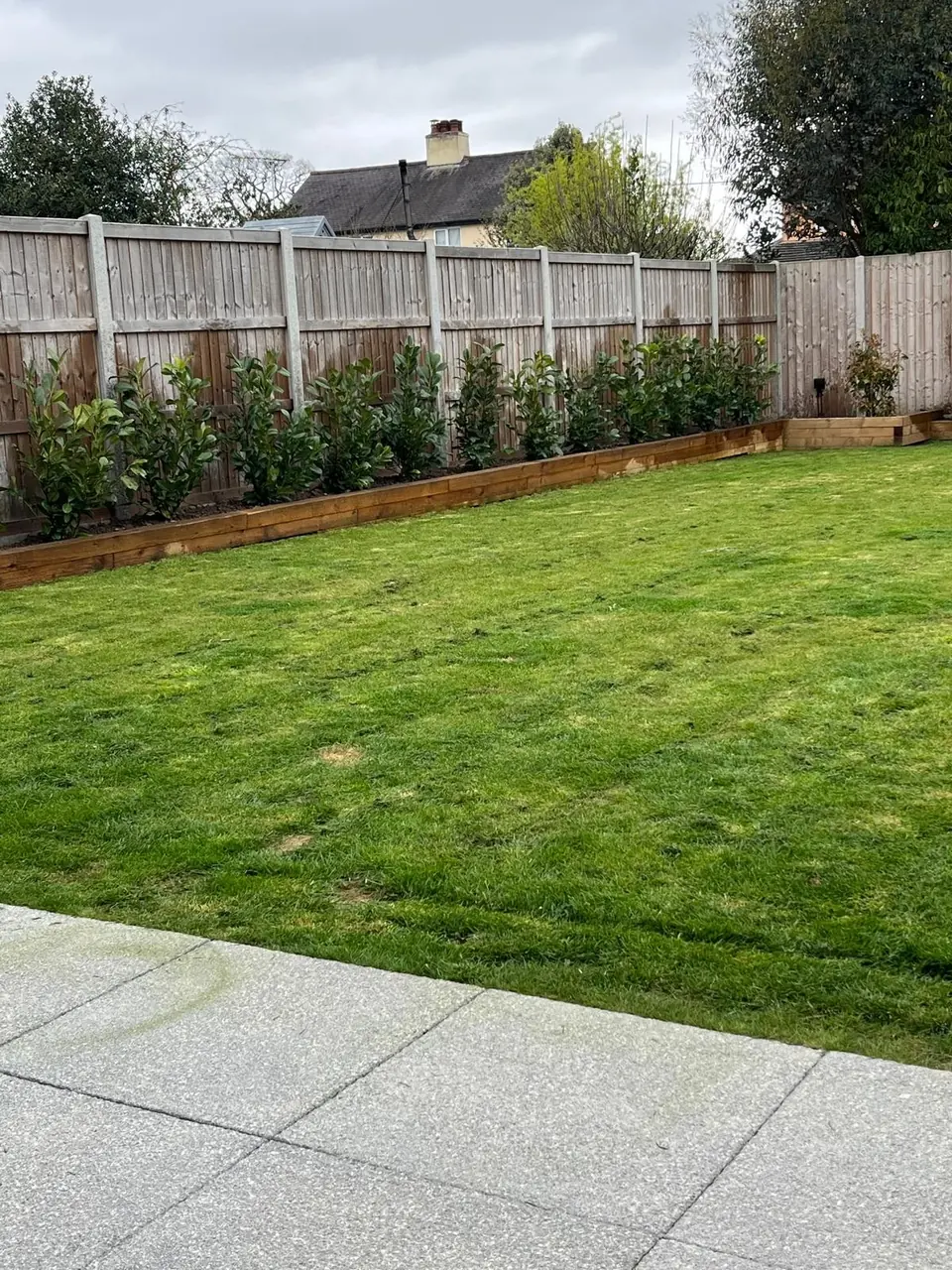 Finished garden with new lawn, grey paving and timber-edged planting borders