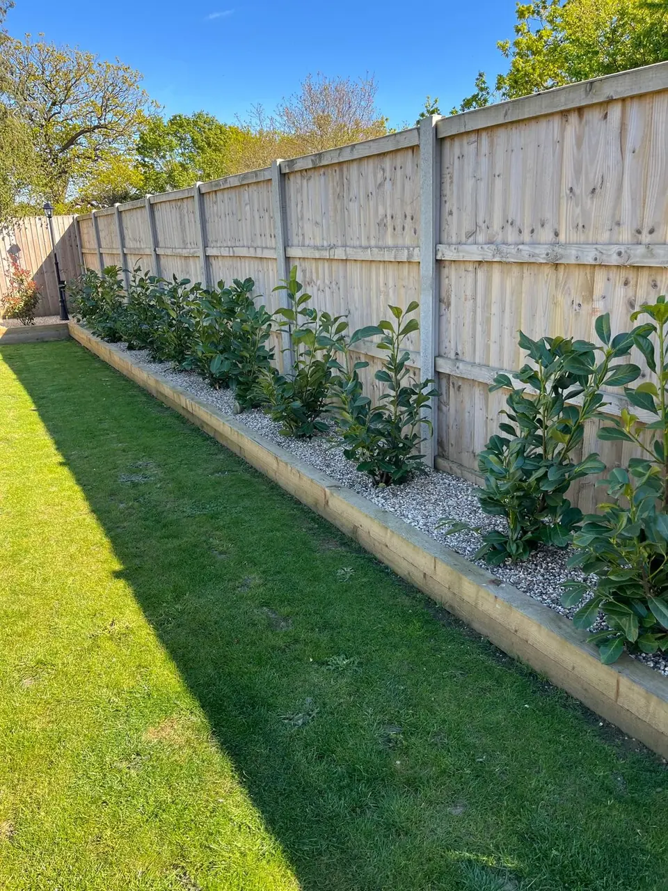Gravel-filled timber border with evergreen planting