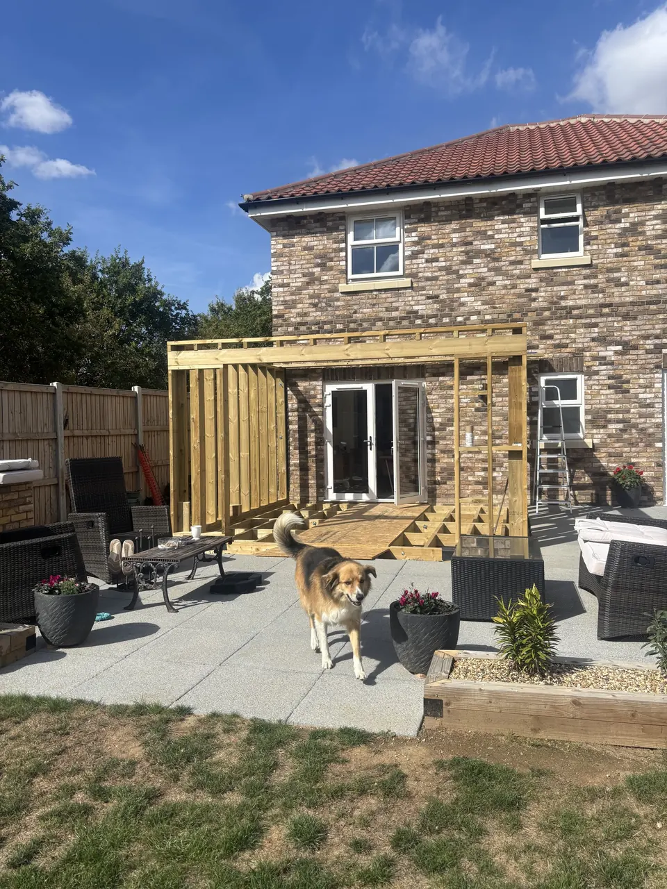 Timber wall framing rising from the floor structure of the extension